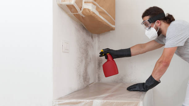 Professional Crawl Space Mold Remediation technician working in Pendleton, OR